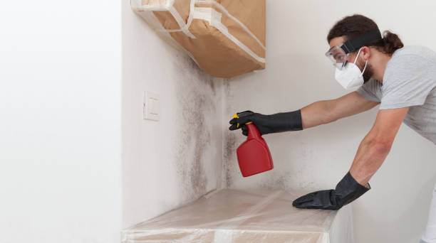Professional Mold Removal technician working in Farmingdale, NJ